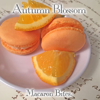 Autumn Blossom Macaron Flavor